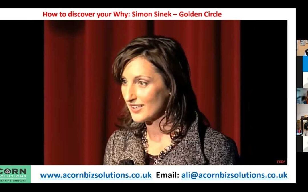 Customer Discovery Journey – Finding your “Why”