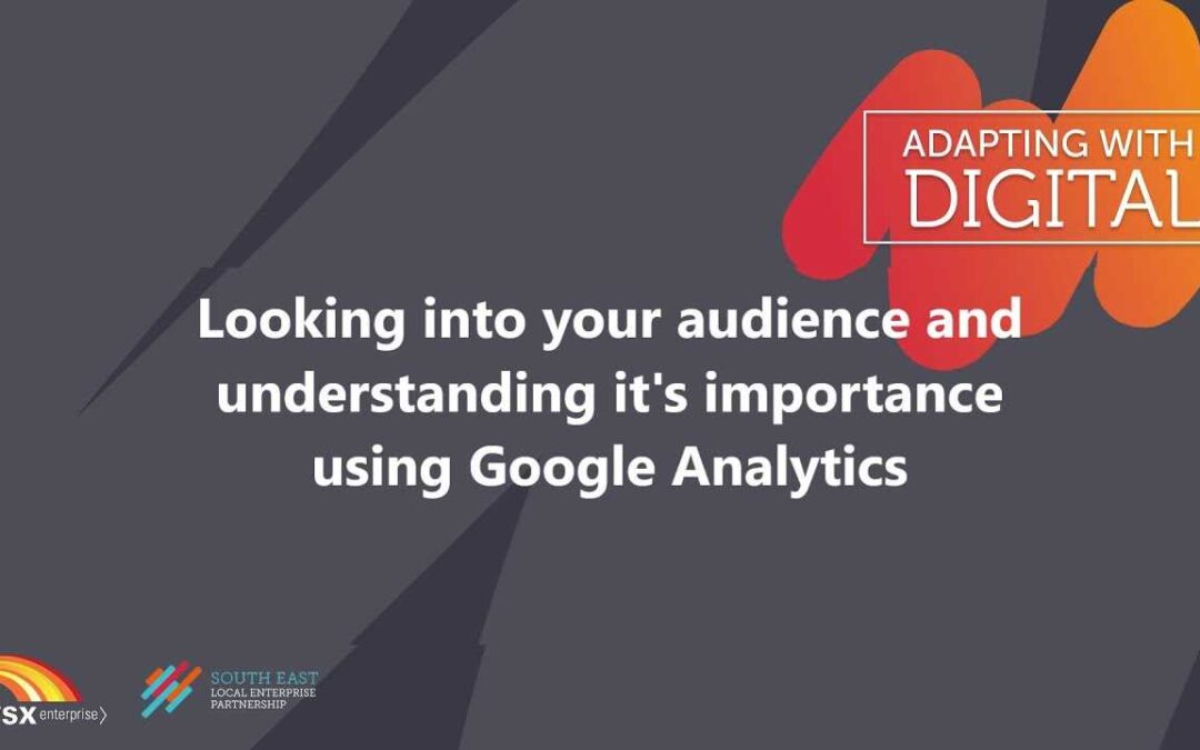 Looking At Your Audience in Google Analytics